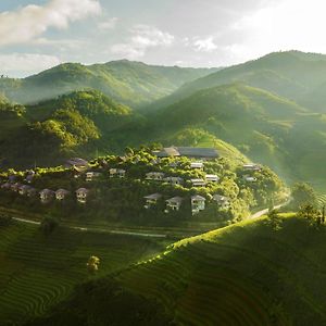 Garrya Mu Cang Chai
